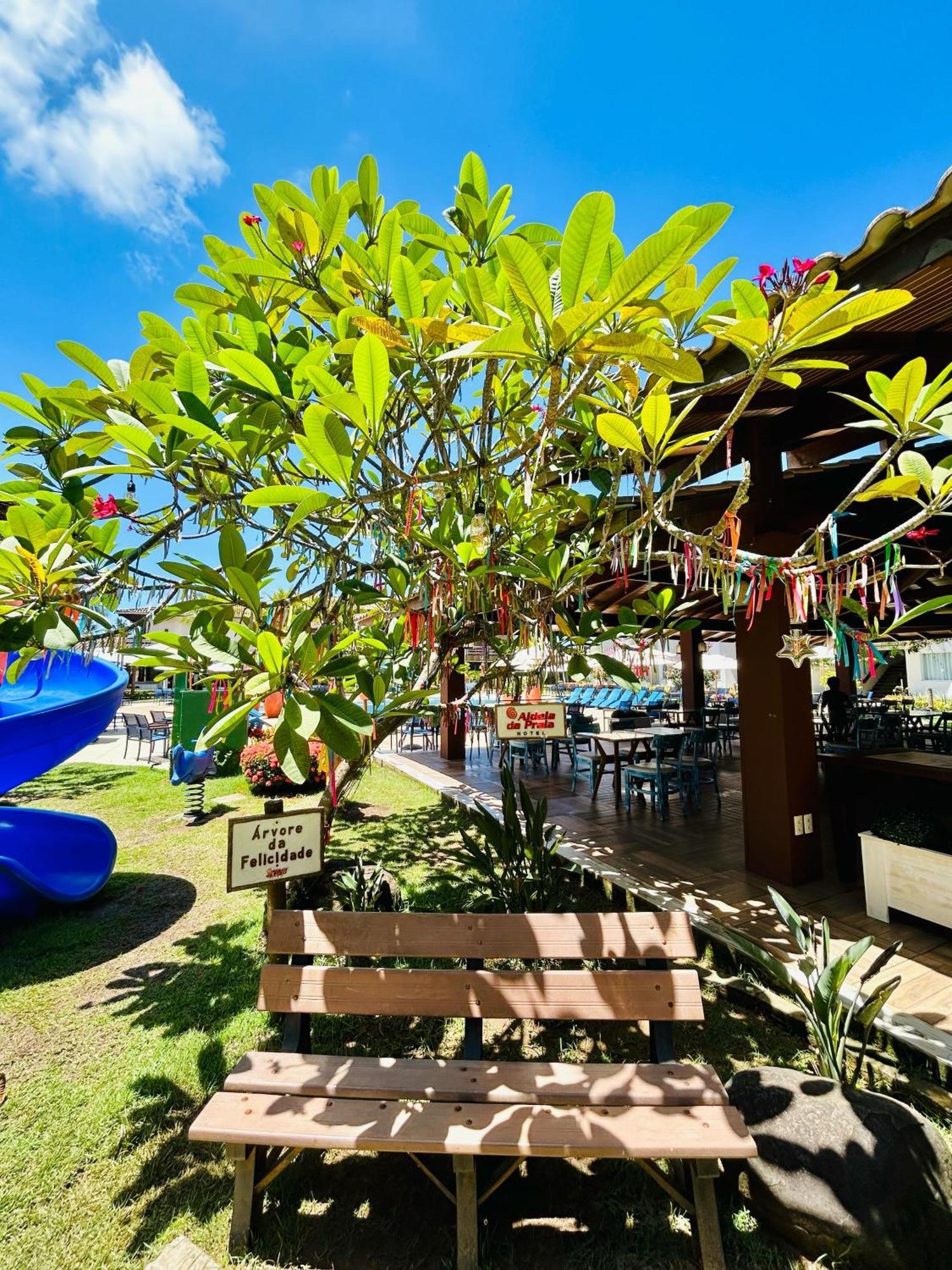 Hotel Aldeia Da Praia Ilhéus Kültér fotó